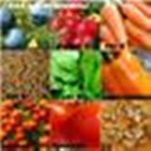 Витамины Глаза Текст